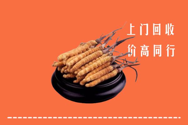 附近收购：新宁县冬虫夏草回收多少钱每克